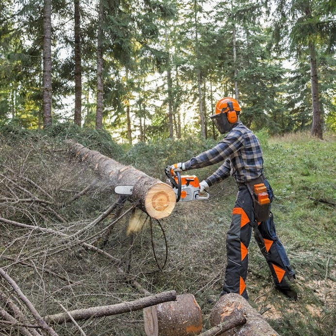 STIHL® MS 462 C-M RZ Chainsaw 25 in – Alberta Small Engine