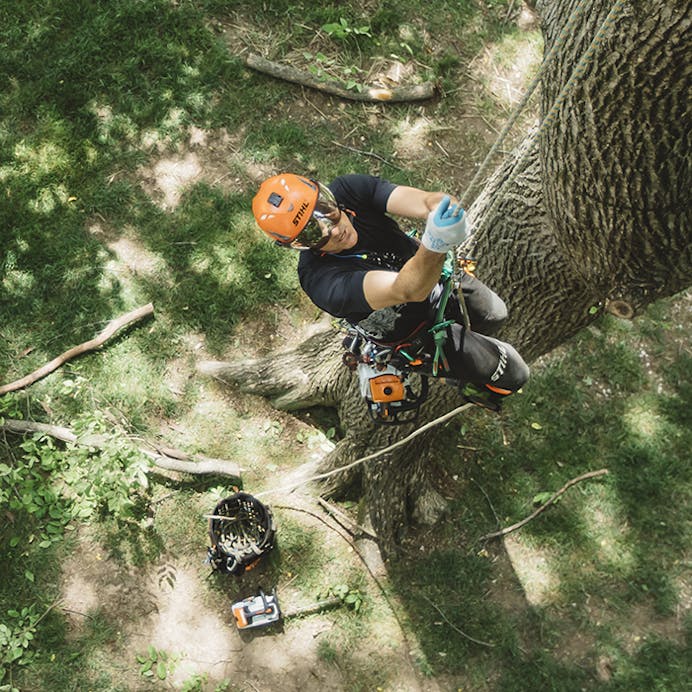 STIHL® MS 194 T-Z Chainsaw,14