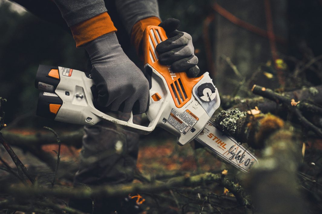 STIHL GTA 40 Garden Pruner AS2 Battery X2 & Charger Included (SET)