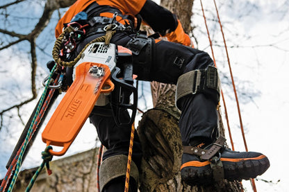 STIHL MS 201 T-CM Chainsaw 12"/14"/16"