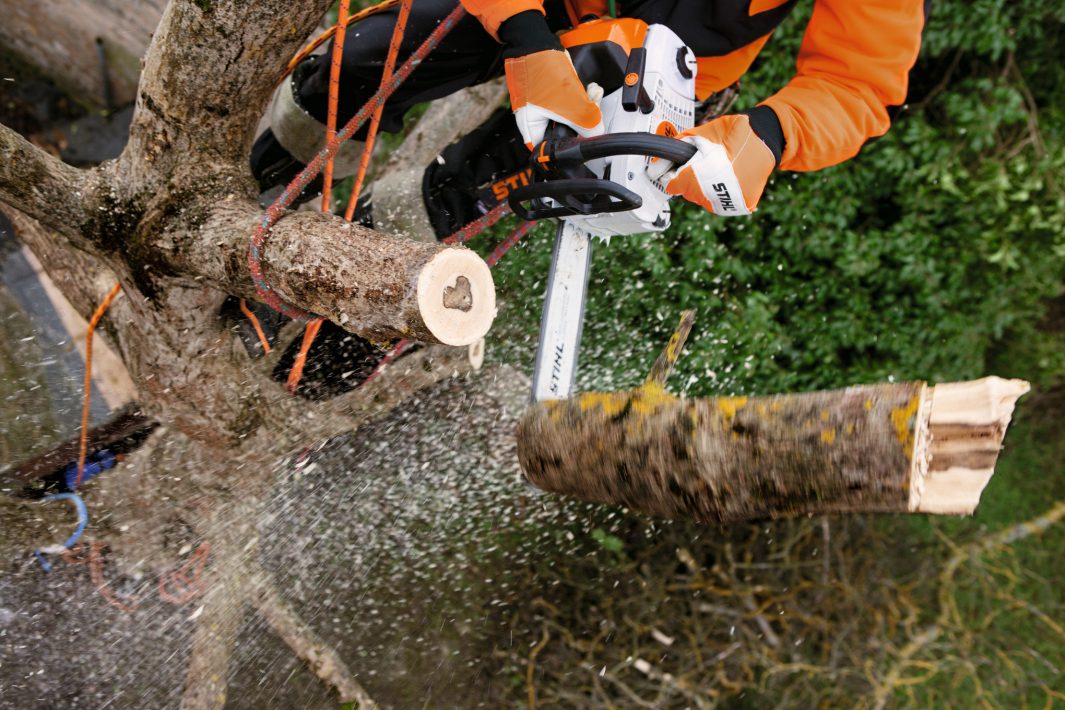 STIHL MS 201 T-CM Chainsaw 12"/14"/16"